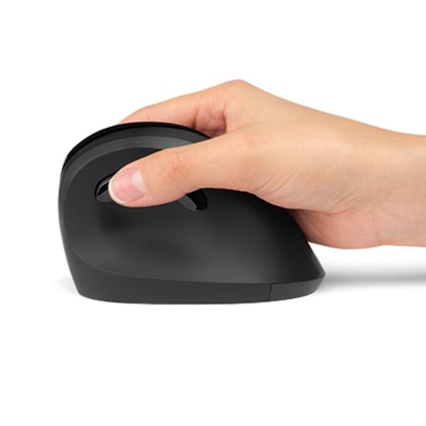 PRO FIT ERGO MOUSE/VERTICAL CORDLESS BLACK PRO FIT ERGO MOUSE/VERTICAL CORDLESS BLACK