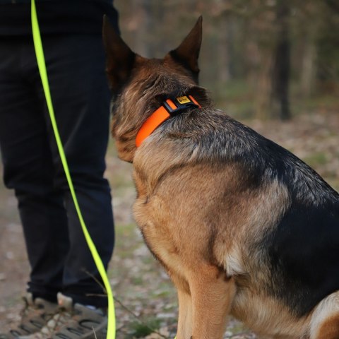 DINGO Obroża 3,0 x 65cm(37-61) pomarańczowa DINGO Obroża 3,0 x 65cm(37-61) pomarańczowa