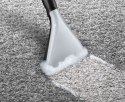 Odkurzacz BOSCH BWD 421 PET AquaWash&Clean (WYPRZEDAŻ)