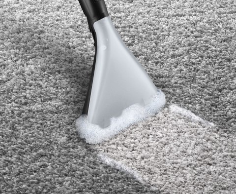 Odkurzacz BOSCH BWD 421 PET AquaWash&Clean (WYPRZEDAŻ) Odkurzacz BOSCH BWD 421 PET AquaWash&Clean (WYPRZEDAŻ)