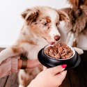 PERRO Gourmet Jeleń z gruszką dla szczeniąt 400 g
