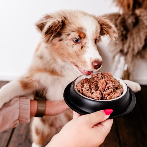 PERRO Gourmet Jeleń z gruszką dla szczeniąt 400 g PERRO Gourmet Jeleń z gruszką dla szczeniąt 400 g