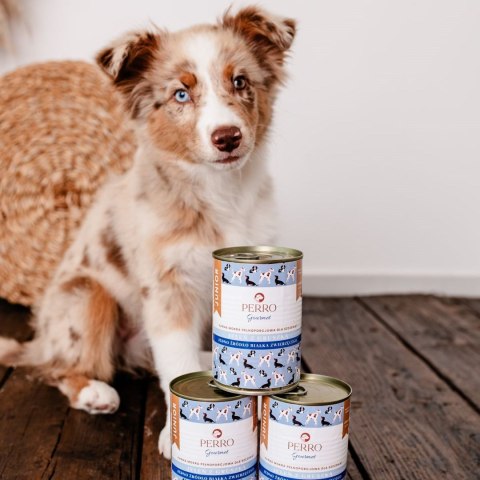 PERRO Gourmet Jeleń z gruszką dla szczeniąt 800 g PERRO Gourmet Jeleń z gruszką dla szczeniąt 800 g