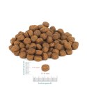 PERRO Wołowina z jagnięciną dla dorosłych psów średnich i dużych ras 12 kg