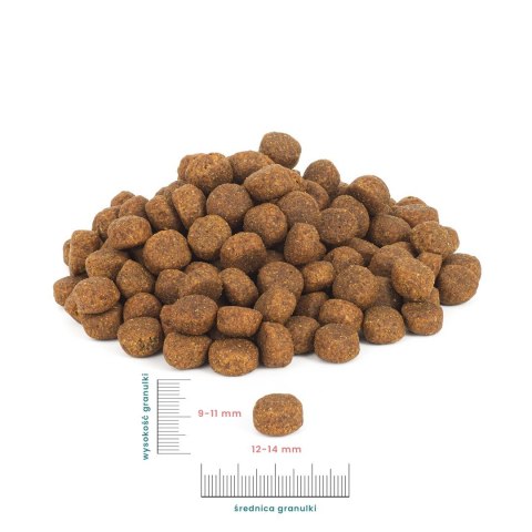 PERRO Wołowina z jagnięciną dla dorosłych psów średnich i dużych ras 12 kg PERRO Wołowina z jagnięciną dla dorosłych psów średnich i dużych ras 12 kg