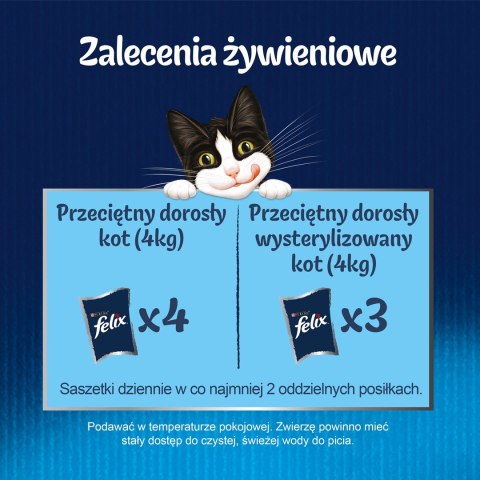 FELIX Fantastic Łosoś w galaretce + Gładzica w galaretce - saszetki dla kota - 4x85g FELIX Fantastic Łosoś w galaretce + Gładzica w galaretce - saszetki dla kota - 4x85g