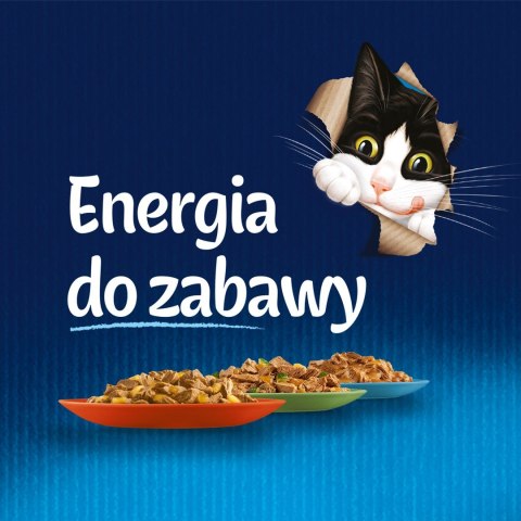 FELIX Fantastic Łosoś w galaretce + Gładzica w galaretce - saszetki dla kota - 4x85g FELIX Fantastic Łosoś w galaretce + Gładzica w galaretce - saszetki dla kota - 4x85g