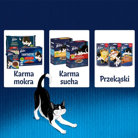 PURINA Felix Fantastic z łososiem w galaretce - mokra karma dla kota - 85 g PURINA Felix Fantastic z łososiem w galaretce - mokra karma dla kota - 85 g