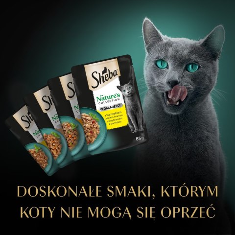 SHEBA Nature's Collection drób - mokra karma dla kota - saszetki w sosie - 4x85 g SHEBA Nature's Collection drób - mokra karma dla kota - saszetki w sosie - 4x85 g