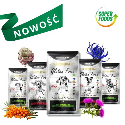 BIOFEED Euphoria G-F psy MID&MAXI wołowina 12kg BIOFEED Euphoria G-F psy MID&MAXI wołowina 12kg