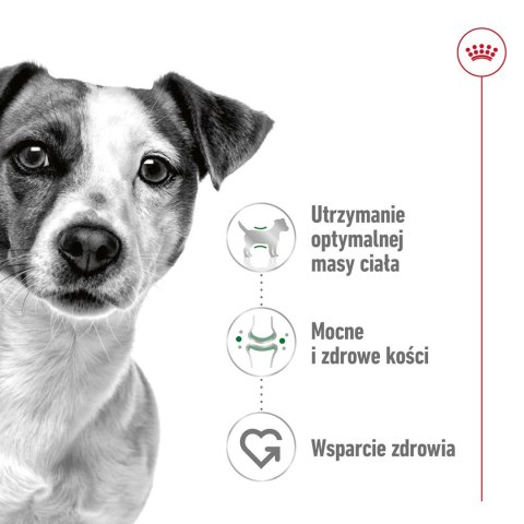 ROYAL CANIN Mini Adult 0,8kg - sucha karma dla psa ROYAL CANIN Mini Adult 0,8kg - sucha karma dla psa
