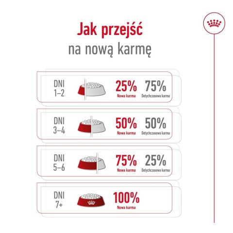 ROYAL CANIN Mini Adult 0,8kg - sucha karma dla psa ROYAL CANIN Mini Adult 0,8kg - sucha karma dla psa