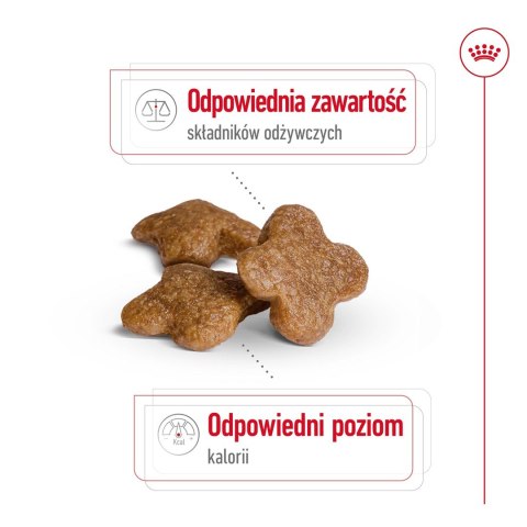 ROYAL CANIN Mini Mature 0,8kg ROYAL CANIN Mini Mature 0,8kg