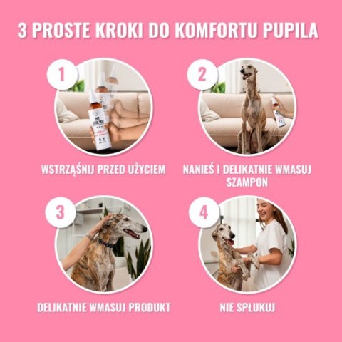 PET Mgiełka zapachowa Magic mist 250ml PET Mgiełka zapachowa Magic mist 250ml