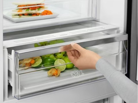 Chłodziarko-zamrażarka ELECTROLUX LNT7ME36G2 Chłodziarko-zamrażarka ELECTROLUX LNT7ME36G2