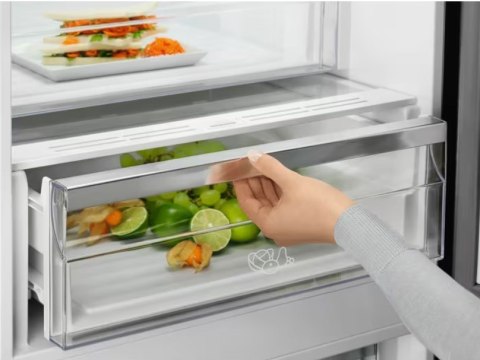 Chłodziarko-zamrażarka ELECTROLUX LNT7ME36K2 Chłodziarko-zamrażarka ELECTROLUX LNT7ME36K2