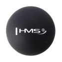 Zestaw do masażu HMS FSBM PRO 2 wałki/piłki
