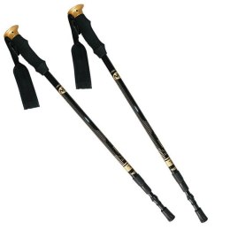 Kije trekking/Nordic Walking 50% CARBON NILS NW-TK19