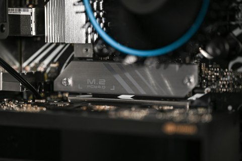 Actina WS i5-14400/16GB/1TBSSD/RTXA2000/650W/W11P Actina WS i5-14400/16GB/1TBSSD/RTXA2000/650W/W11P