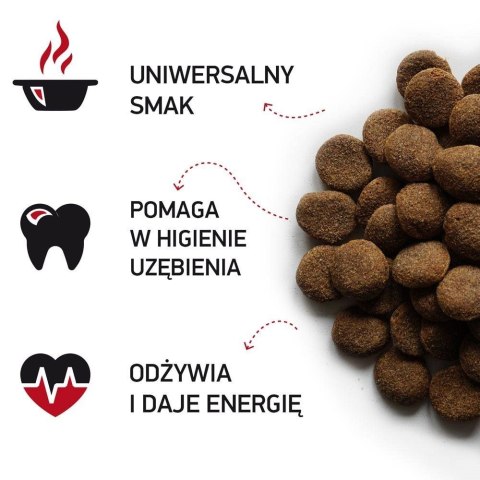 BIOFEED NASZ PIES Z WOŁOWINĄ 15 KG (WYPRZEDAŻ) BIOFEED NASZ PIES Z WOŁOWINĄ 15 KG (WYPRZEDAŻ)