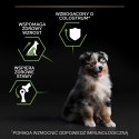PURINA PRO PLAN Puppy Medium 12kg
