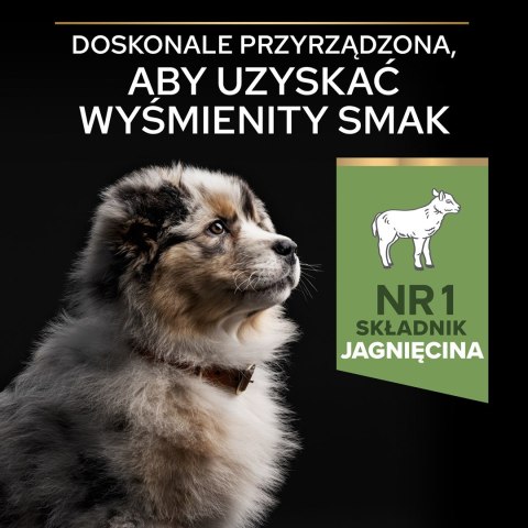 Purina Pro Plan Medium Puppy Sensitive OPTIDIGEST Jagnięcina 12kg Purina Pro Plan Medium Puppy Sensitive OPTIDIGEST Jagnięcina 12kg