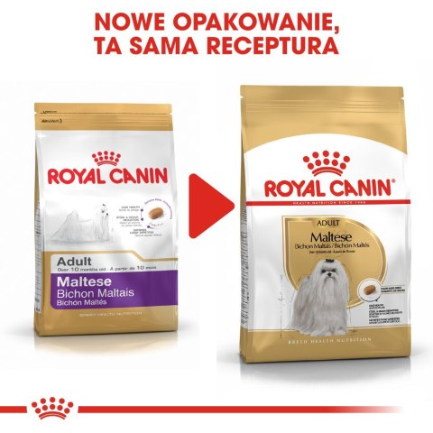 ROYAL CANIN BHN Maltese - sucha karma dla psa - 0,5kg ROYAL CANIN BHN Maltese - sucha karma dla psa - 0,5kg