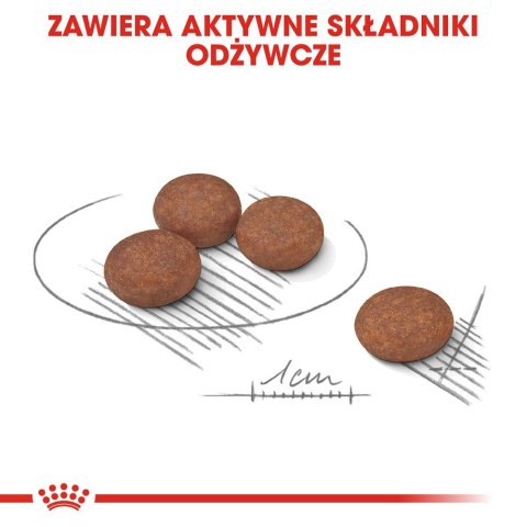 ROYAL CANIN CCN MINI DIGESTIVETIVE CARE - sucha karma dla psa dorosłego - 8kg ROYAL CANIN CCN MINI DIGESTIVETIVE CARE - sucha karma dla psa dorosłego - 8kg