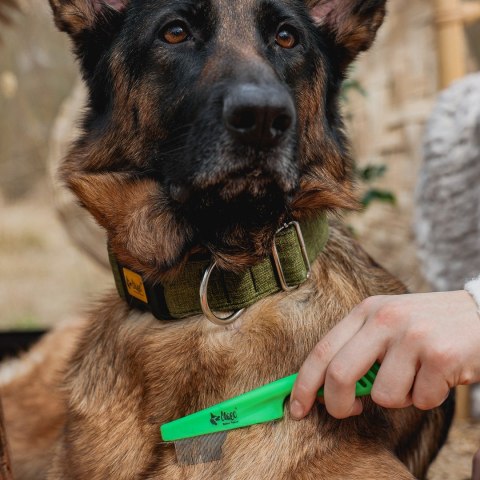 DINGO grzebień do wyczesywania insektów z plastikową rączką, zielony DINGO grzebień do wyczesywania insektów z plastikową rączką, zielony