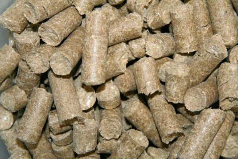 KERBL Smakołyki dla konia Delizia Classic, jabłko, 1 kg KERBL Smakołyki dla konia Delizia Classic, jabłko, 1 kg