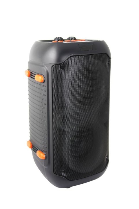 ESPERANZA GŁOŚNIK BT FM LED RGB KARAOKE SINGER EP156 ESPERANZA GŁOŚNIK BT FM LED RGB KARAOKE SINGER EP156