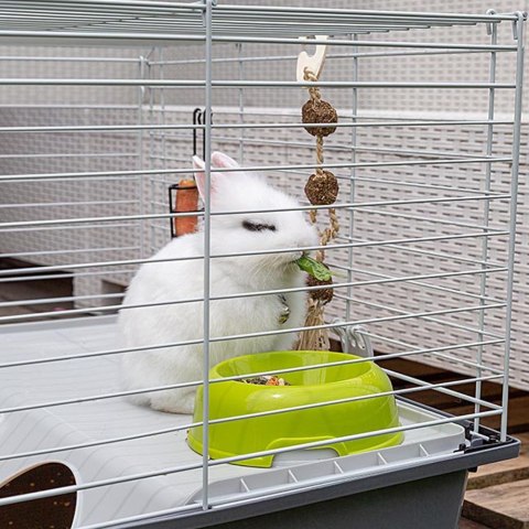 FERPLAST RABBIT 100 + kolba Vitapol - dla królików FERPLAST RABBIT 100 + kolba Vitapol - dla królików