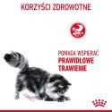ROYAL CANIN Digestive Care 2kg - sucha karma dla kota