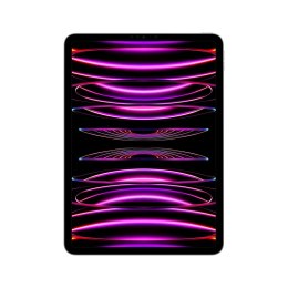 Apple 11-inch iPad Pro (4 gen.) Wi-Fi 2TB Space Grey