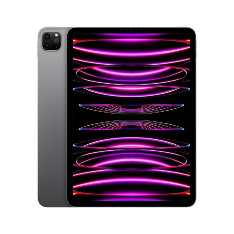 Apple 11-inch iPad Pro (4 gen.) Wi-Fi 2TB Space Grey Apple 11-inch iPad Pro (4 gen.) Wi-Fi 2TB Space Grey
