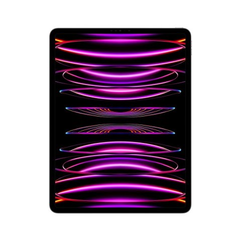 Apple 12.9-inch iPad Pro (6 gen.) Wi-Fi 2TB Space Grey Apple 12.9-inch iPad Pro (6 gen.) Wi-Fi 2TB Space Grey