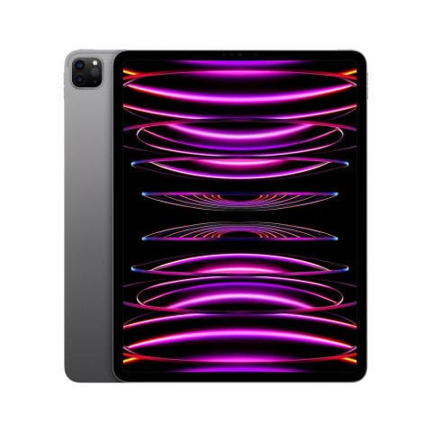 Apple 12.9-inch iPad Pro (6 gen.) Wi-Fi 2TB Space Grey Apple 12.9-inch iPad Pro (6 gen.) Wi-Fi 2TB Space Grey