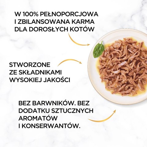 PURINA Gourmet Gold Succulent Delights Ryba oceaniczna - mokra karma dla kota - 85 g PURINA Gourmet Gold Succulent Delights Ryba oceaniczna - mokra karma dla kota - 85 g