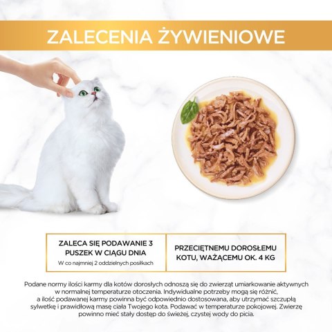 PURINA Gourmet Gold Succulent Delights Ryba oceaniczna - mokra karma dla kota - 85 g PURINA Gourmet Gold Succulent Delights Ryba oceaniczna - mokra karma dla kota - 85 g