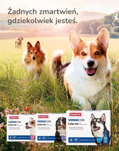 BEAPHAR VERMIcon Line-on Dog M - krople przeciw pasożytom dla psa - 3x 3ml BEAPHAR VERMIcon Line-on Dog M - krople przeciw pasożytom dla psa - 3x 3ml