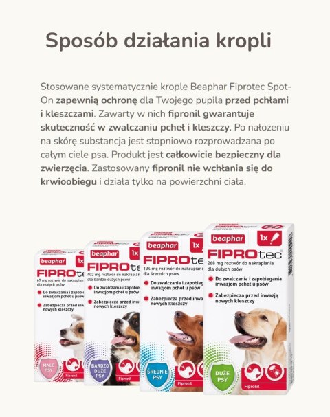 Beaphar FIPROtec Krople dla psa L 268mg x1 Beaphar FIPROtec Krople dla psa L 268mg x1