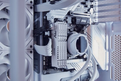 KINGSTON DDR5 16GB 6400MT/s CL32 DIMM FURY Beast White EXPO KINGSTON DDR5 16GB 6400MT/s CL32 DIMM FURY Beast White EXPO