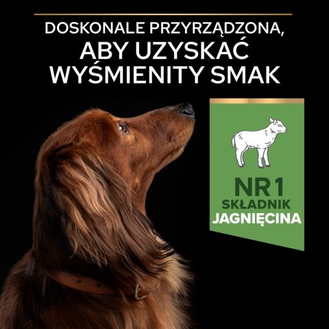 PURINA PRO PLAN SMALL & MINI ADULT Jagnięcina 700g PURINA PRO PLAN SMALL & MINI ADULT Jagnięcina 700g