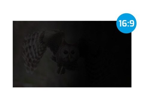 NATEC FILTR PRYWATYZUJĄCY OWL 27" 16:9 NFP-2118 (WYPRZEDAŻ) NATEC FILTR PRYWATYZUJĄCY OWL 27" 16:9 NFP-2118 (WYPRZEDAŻ)