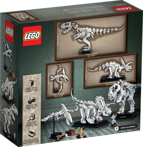 LEGO 21320 Ideas Szkielety dinozaurów LEGO 21320 Ideas Szkielety dinozaurów
