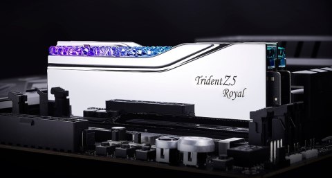 G.SKILL TRIDENT Z5 ROYAL RGB DDR5 2X48GB 6400MHZ CL32 XMP3 SILVER F5-6400J3239F48GX2-TR5S G.SKILL TRIDENT Z5 ROYAL RGB DDR5 2X48GB 6400MHZ CL32 XMP3 SILVER F5-6400J3239F48GX2-TR5S