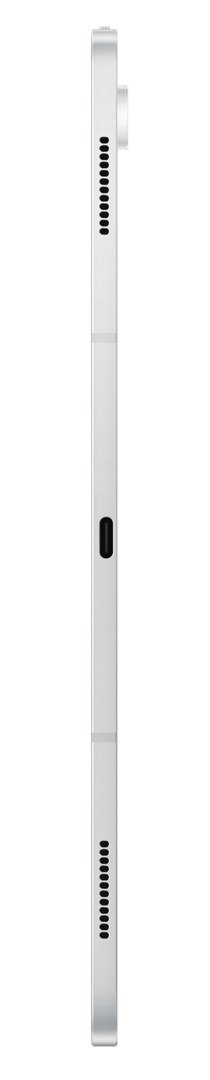 Samsung Galaxy Tab S10 Ultra (X920) WiFi 12/256GB Silver Samsung Galaxy Tab S10 Ultra (X920) WiFi 12/256GB Silver