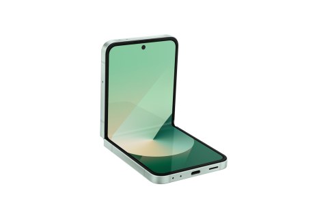 Samsung Galaxy Z Flip 6 (F741B) DS 5G 12/256GB Mint (WYPRZEDAŻ) Samsung Galaxy Z Flip 6 (F741B) DS 5G 12/256GB Mint (WYPRZEDAŻ)