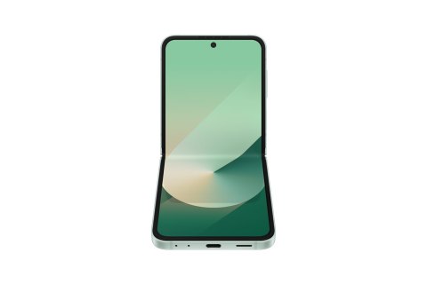Samsung Galaxy Z Flip 6 (F741B) DS 5G 12/256GB Mint (WYPRZEDAŻ) Samsung Galaxy Z Flip 6 (F741B) DS 5G 12/256GB Mint (WYPRZEDAŻ)
