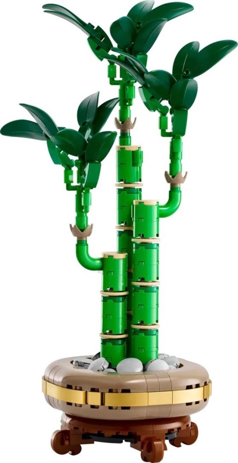 LEGO BOTANICALS 10344 Dracena sandera LEGO BOTANICALS 10344 Dracena sandera